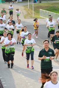 BIB: 
                            <button type="button" onclick="openModal(3549823)" class="btn btn-primary btn-sm float-right btn-popup" data-toggle="modal" data-target=".modal-high-quality">
                        <i class="fas fa-shopping-cart"></i> Add to Cart
                    </button>
                                            <button type="button" onclick="isThisMe(3549823, true)" class="btn btn-success btn-sm float-right btn-popup btn-isme hidden" data-toggle="tooltip" data-placement="bottom" title="นี่คือรูปของคุณใช่ไหม คลิกที่นี่เพื่อเอาเข้าอัลบั้ม">
                        <i class="fas fa-plus"></i> Add to album
                    </button>
                    <button type="button" onclick="isThisMe(3549823, false)" class="btn btn-warning btn-sm float-right btn-popup btn-isnotme hidden">
                        <i class="fas fa-ban"></i> Remove from album
                    </button>